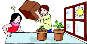 science-fair-projects-for-kids-growing-plants