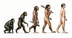 consequences-of-evolution-388