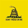 dont tread on me flag
