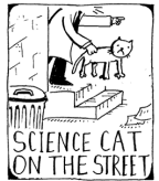 2010-08-30-2010-8-30-Science-Cat