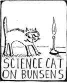 2010-08-30-2010-8-30-Science-Cat