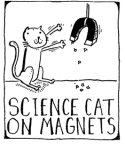 2010-08-30-2010-8-30-Science-Cat