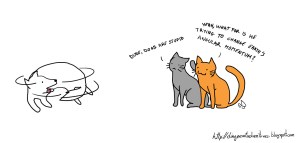 cat angular momentum