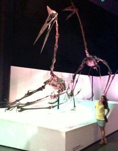 janet with quetzalcoatlus