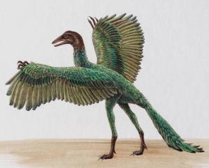 Archaeopteryx1140553061