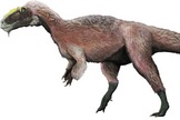 a shaggy-feathered theropod