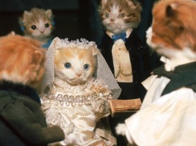 cat wedding