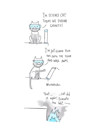 science cat explores gravity edited