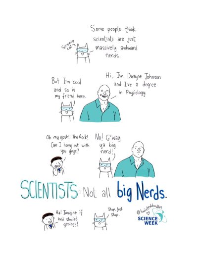 science-cat-and-the-rock