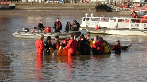 stranded-thames-whale