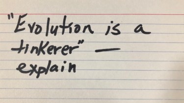 notecard evo is a tinkerer