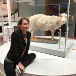 Hello Dolly! What a Little Lamb Taught Us About Stem&nbsp;Cells