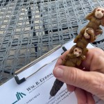 A Book Easter&nbsp;Egg